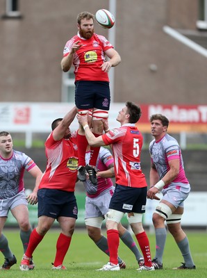 081016 - Aberavon v Llanelli - Principality Premiership - Tom Phillips of Llanelli wins the line out