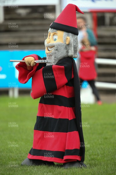 121019 - Aberavon v Newport, Indigo Group Premiership - Aberavon RFC mascot, Merlin