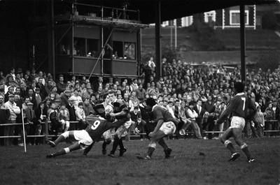 261088 - Aberavon v Western Samoa - 