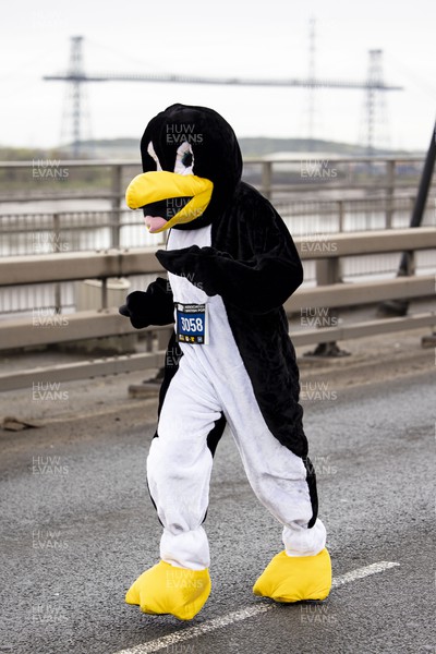 160423 - ABP Newport Wales Marathon and 10K - Runner in a penguin costume crosses the Newport Southern Distributor Bridge 