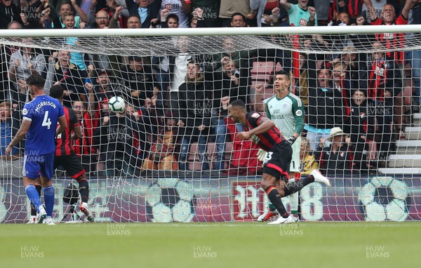110818 - AFC Bournemouth v Cardiff City, Premier League - Callum Wilson of Bournemouth, wheels away to celebrate after he scores the second goal