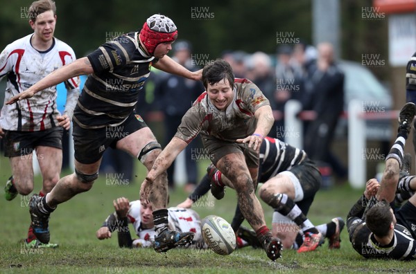 280315 - Amman United RFC v Felinfoel, SWALEC League 1 West - Amman United's Sean Mangan looks to win the ball