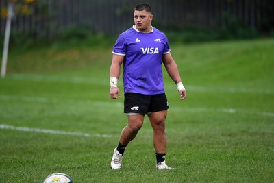 061125 - Argentina Rugby Training - Thomas Gallo during training ahead of his sides upcoming match against Wales