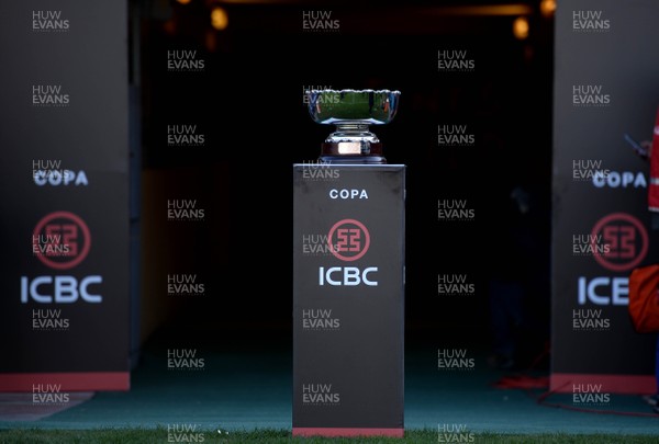 090618 - Argentina v Wales - International Rugby Union - Winners trophy