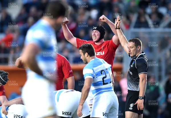090618 - Argentina v Wales - International Rugby Union - Adam Beard of Wales celebrates at the final whistle
