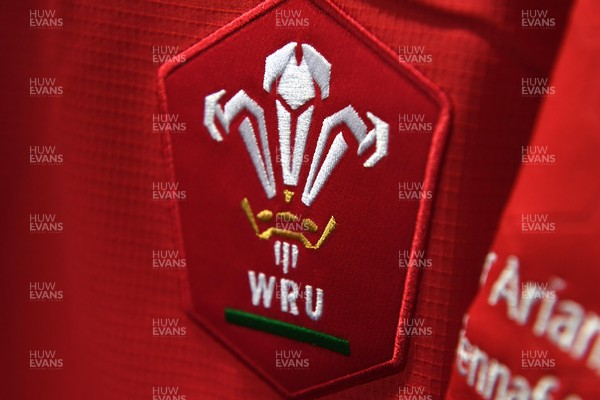 100721 - Argentina v Wales - International Rugby - Jonathan Davies of Wales badge jersey in the dressing room