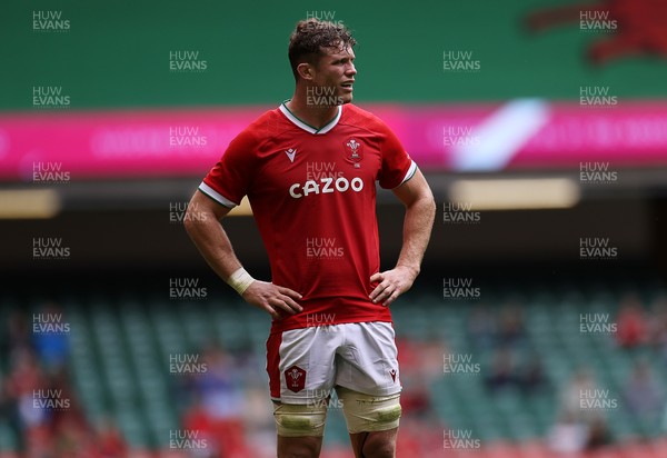 100721 - Argentina v Wales - Summer International Series - Will Rowlands of Wales