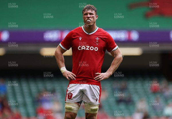 100721 - Argentina v Wales - Summer International Series - Will Rowlands of Wales