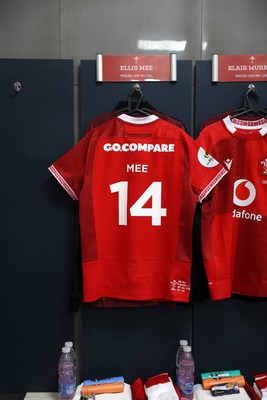 110726 - Argentina v Wales - Nations Championship - Ellis Mee of Wales jersey
