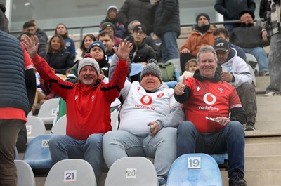 110726 - Argentina v Wales - Nations Championship - Wales fans in the stadium