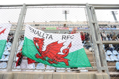 110726 - Argentina v Wales - Nations Championship - Wales fans in the stadium