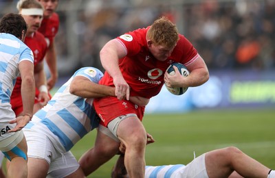 Argentina v Wales 110726