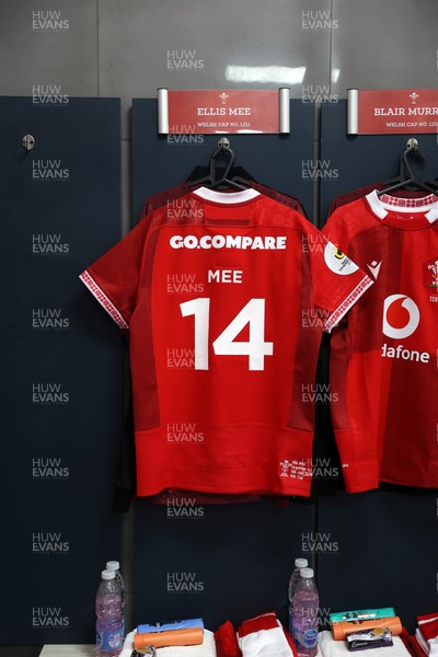 110726 - Argentina v Wales - Nations Championship - Ellis Mee of Wales jersey