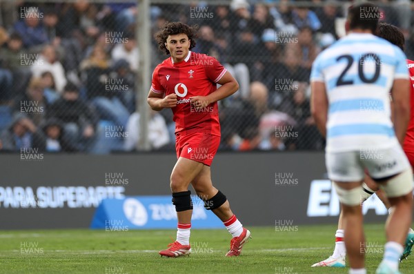 110726 - Argentina v Wales - Nations Championship - Kane James of Wales 