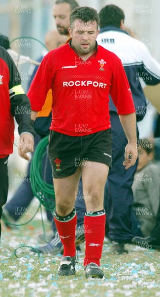 12-06-04. Argentina v Wales (1st Test in Tucuman).  Wales' Mefin Davies is replaced   