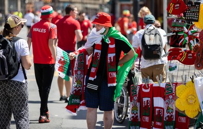 170721 - Wales v Argentina - Summer International Series - Fans outside the stadium before the game