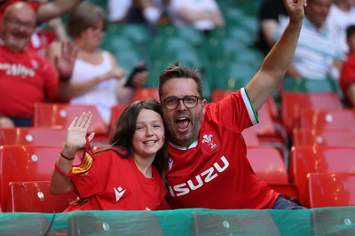 170721 - Wales v Argentina - Summer International Series - Wales fans inside the stadium