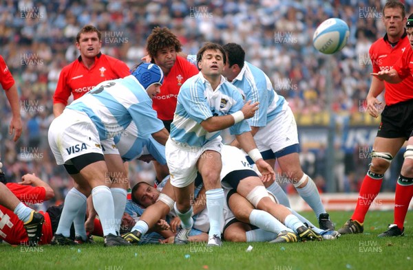 19-06-04. Argentina v Wales (Second Test Buenos Aires)  Puma's Nicolas Miranda gets ball away.  