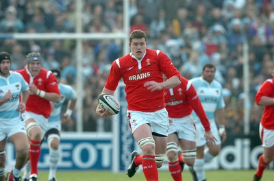 Argentina v Wales 110606