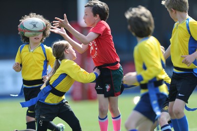 160514 - Arms Park Tag Rugby Festival, Cardiff Arms Park - 