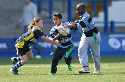 160514 - Arms Park Tag Rugby Festival, Cardiff Arms Park - 