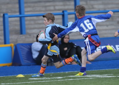 160514 - Arms Park Tag Rugby Festival, Cardiff Arms Park - 