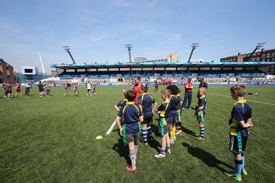 160514 - Arms Park Tag Rugby Festival, Cardiff Arms Park - 