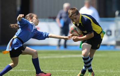 160514 - Arms Park Tag Rugby Festival, Cardiff Arms Park - 