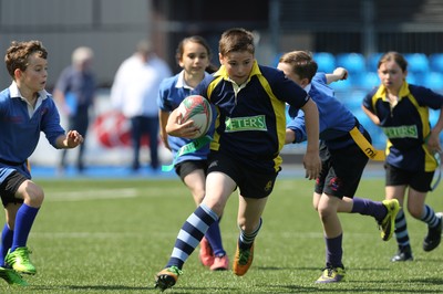 160514 - Arms Park Tag Rugby Festival, Cardiff Arms Park - 