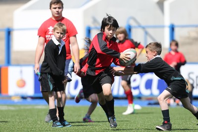 160514 - Arms Park Tag Rugby Festival, Cardiff Arms Park - 