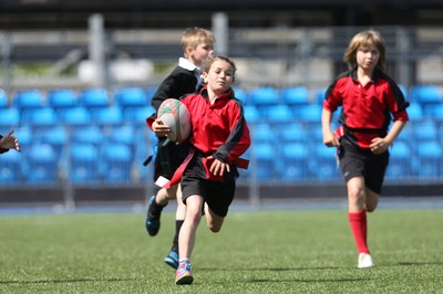 160514 - Arms Park Tag Rugby Festival, Cardiff Arms Park - 