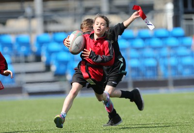 160514 - Arms Park Tag Rugby Festival, Cardiff Arms Park - 