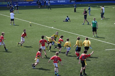 160514 - Arms Park Tag Rugby Festival, Cardiff Arms Park - 