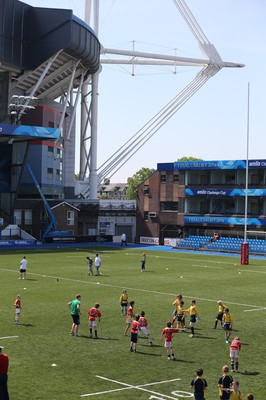 160514 - Arms Park Tag Rugby Festival, Cardiff Arms Park - 