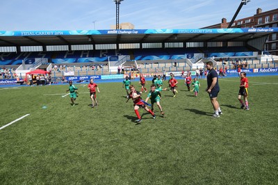 160514 - Arms Park Tag Rugby Festival, Cardiff Arms Park - 