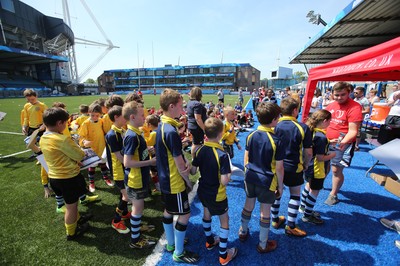 160514 - Arms Park Tag Rugby Festival, Cardiff Arms Park - 