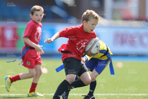 160514 - Arms Park Tag Rugby Festival, Cardiff Arms Park - 
