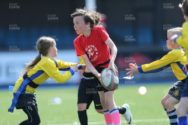 160514 - Arms Park Tag Rugby Festival, Cardiff Arms Park - 
