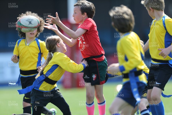 160514 - Arms Park Tag Rugby Festival, Cardiff Arms Park - 