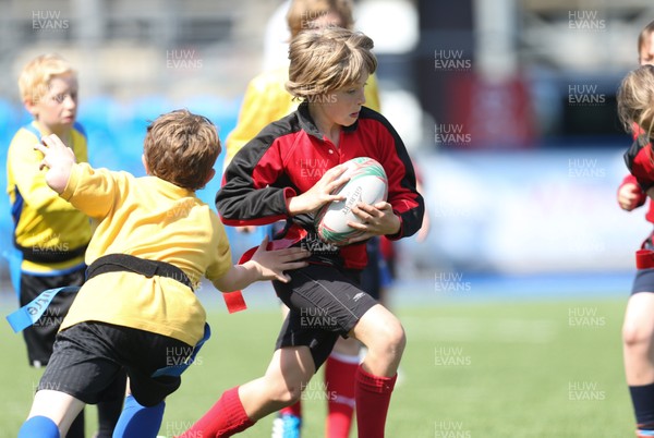 160514 - Arms Park Tag Rugby Festival, Cardiff Arms Park - 