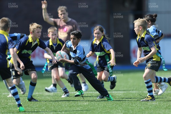 160514 - Arms Park Tag Rugby Festival, Cardiff Arms Park - 