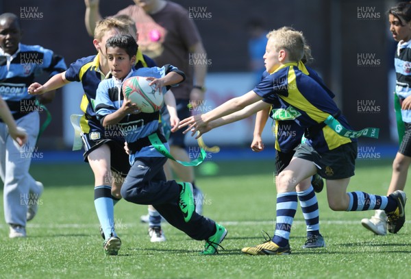 160514 - Arms Park Tag Rugby Festival, Cardiff Arms Park - 