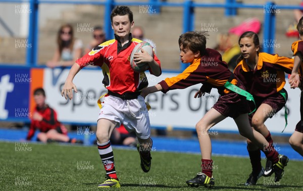 160514 - Arms Park Tag Rugby Festival, Cardiff Arms Park - 