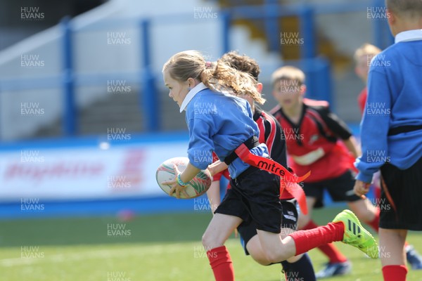 160514 - Arms Park Tag Rugby Festival, Cardiff Arms Park - 