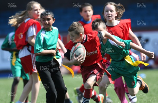 160514 - Arms Park Tag Rugby Festival, Cardiff Arms Park - 