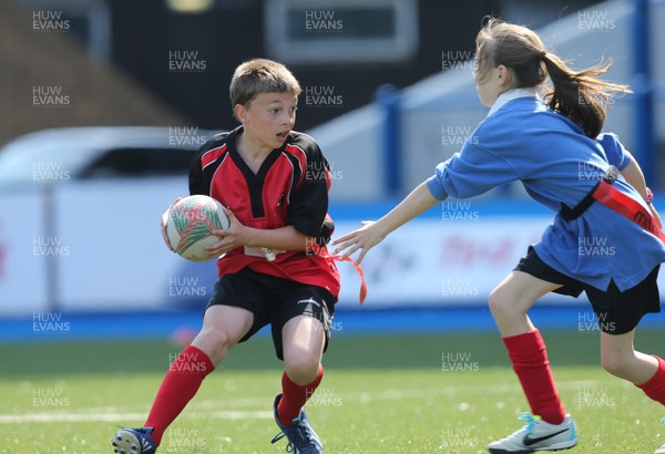 160514 - Arms Park Tag Rugby Festival, Cardiff Arms Park - 
