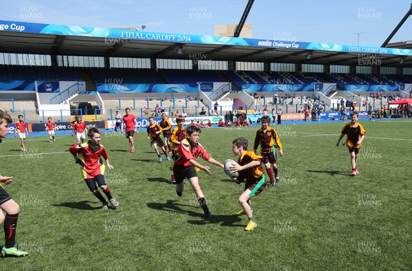 160514 - Arms Park Tag Rugby Festival, Cardiff Arms Park - 