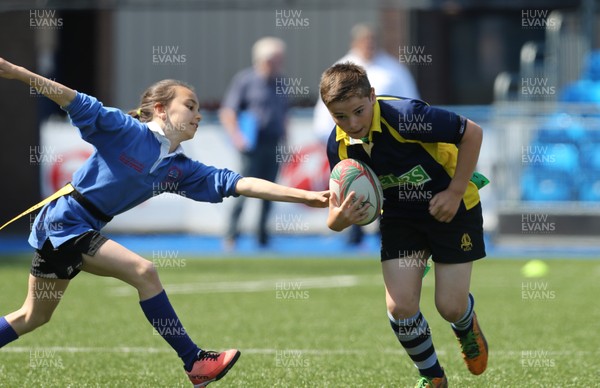 160514 - Arms Park Tag Rugby Festival, Cardiff Arms Park - 