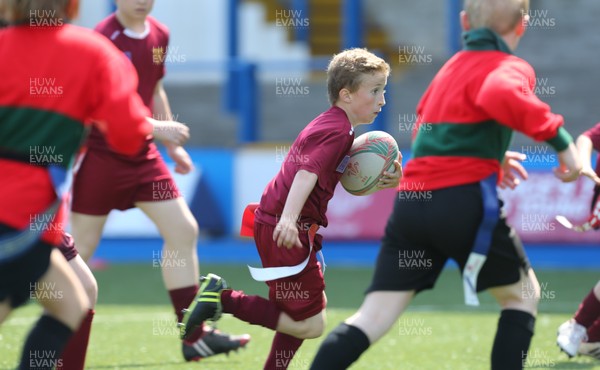 160514 - Arms Park Tag Rugby Festival, Cardiff Arms Park - 