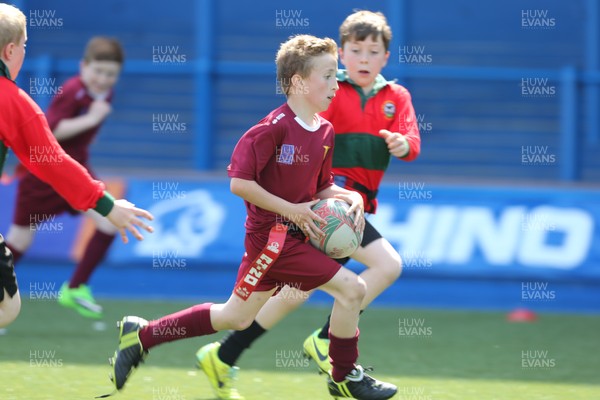 160514 - Arms Park Tag Rugby Festival, Cardiff Arms Park - 